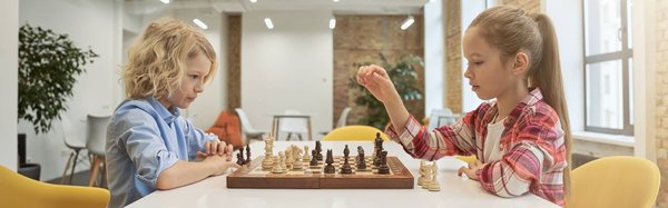 Logiciel de ludothèque : fonctionnalités et secteurs d'application